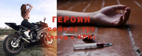 индика Новозыбков