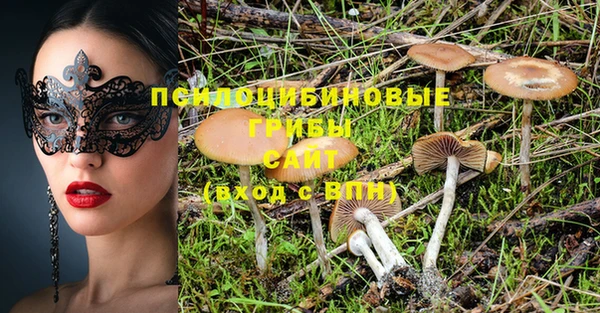 индика Новозыбков