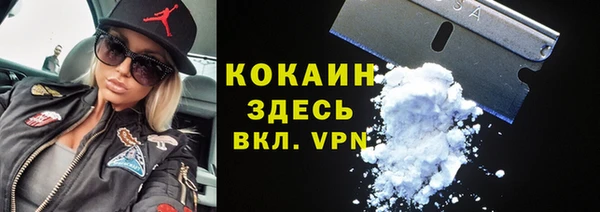 индика Новозыбков