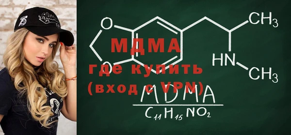 индика Новозыбков