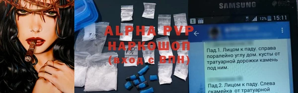 индика Новозыбков