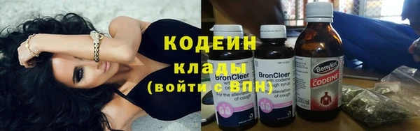 индика Новозыбков