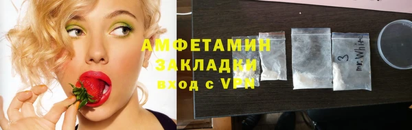 индика Новозыбков