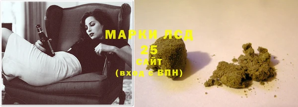 индика Новозыбков