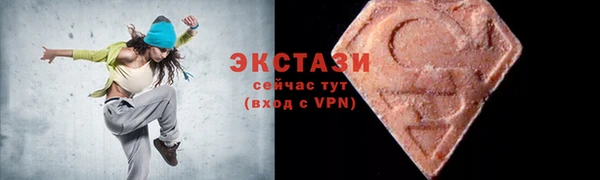 индика Новозыбков