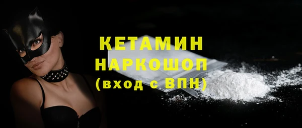индика Новозыбков