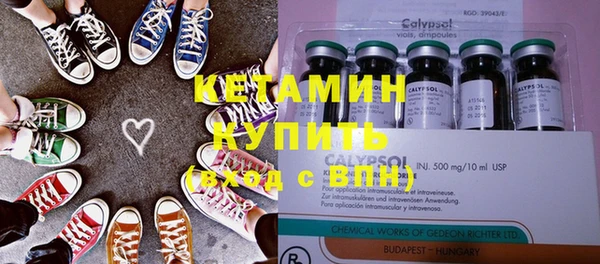 индика Новозыбков