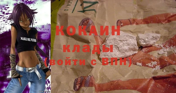 индика Новозыбков