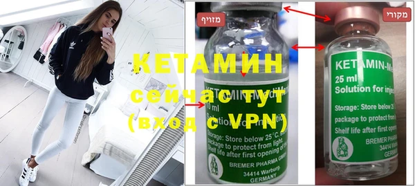 индика Новозыбков