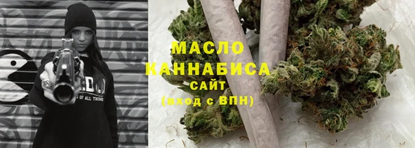 индика Новозыбков