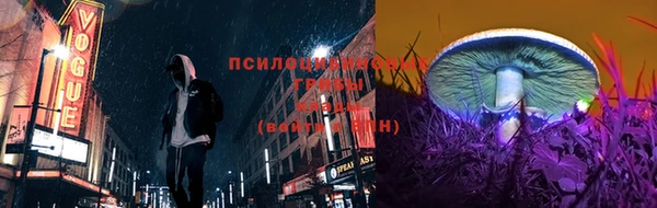 синтетический гашиш Новодвинск