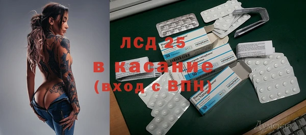 индика Новозыбков