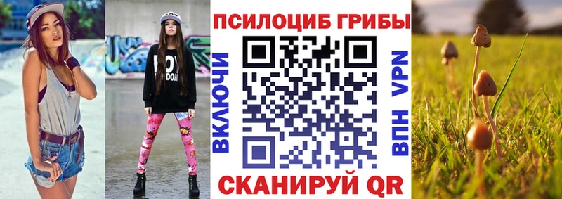 Галлюциногенные грибы Psilocybine cubensis Полярные Зори